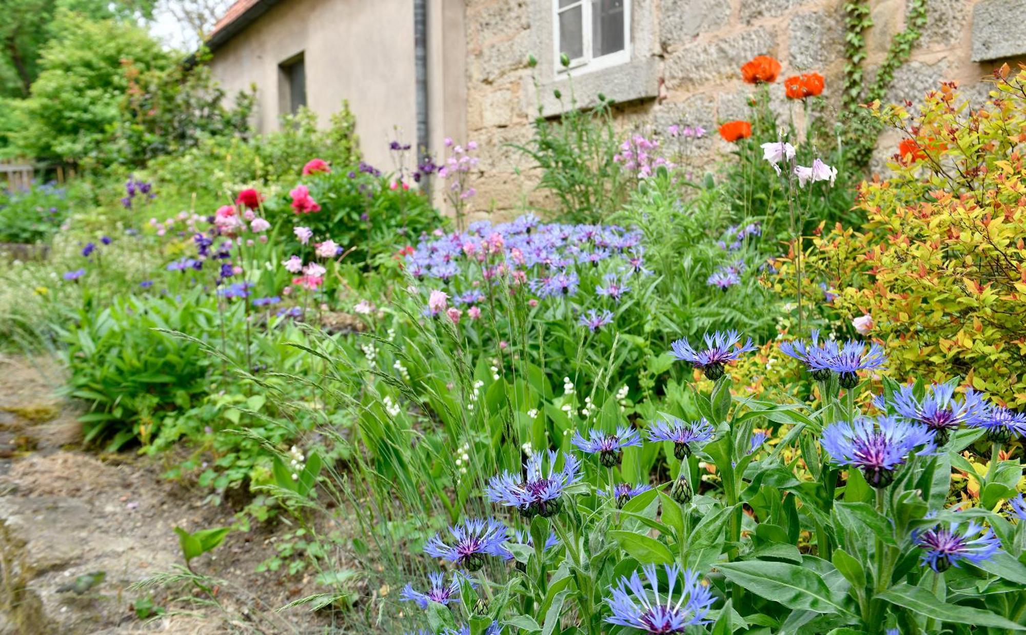 Landhotel Schwarzes Ross Steinsfeld Quarto foto
